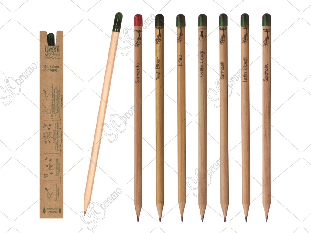 Sebze Tohumlu Kurşun kalem